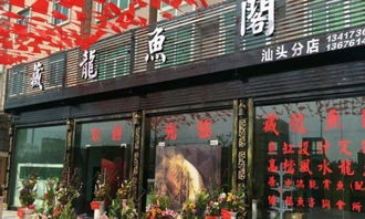 图 观赏鱼 100元藏龙鱼阁精品龙鱼 北京花鸟鱼虫