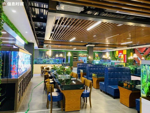 芳村花鸟鱼虫市场迁址获 新生 ,批发市场变旅游 打卡点