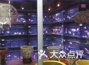 新官园花鸟鱼虫工艺品市场