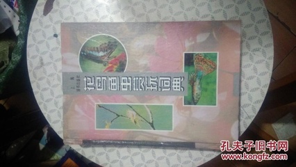 花鸟鱼虫赏玩词典
