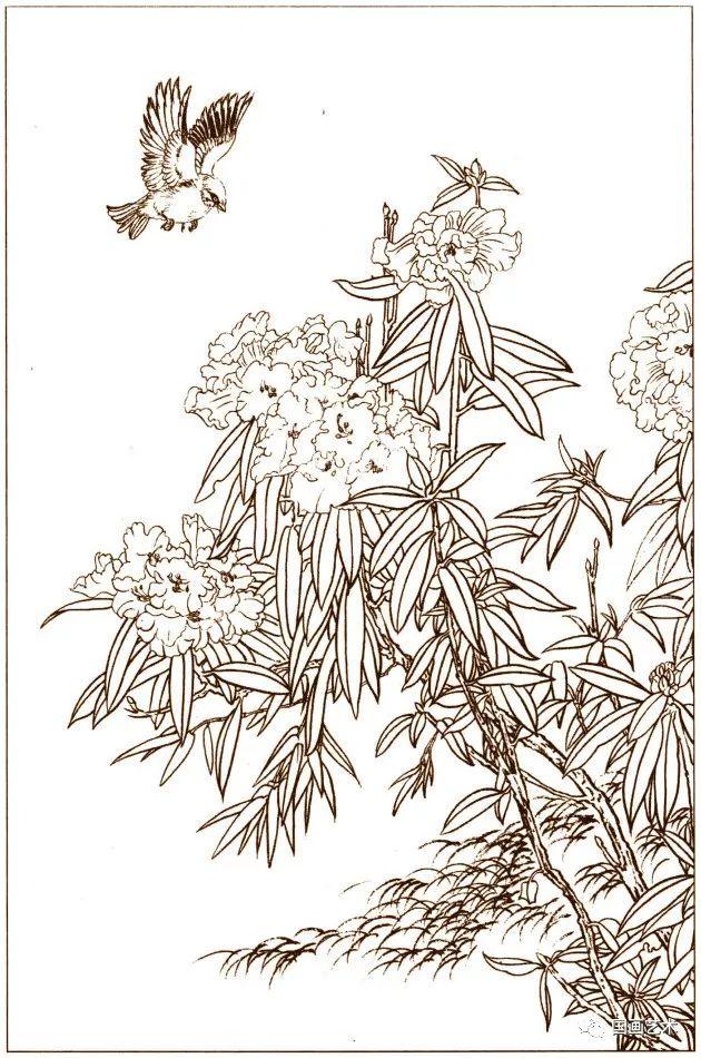 花鸟鱼虫白描画谱(4)